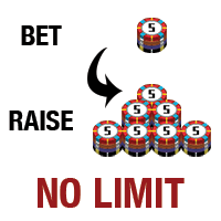 No Limit Poker 24
